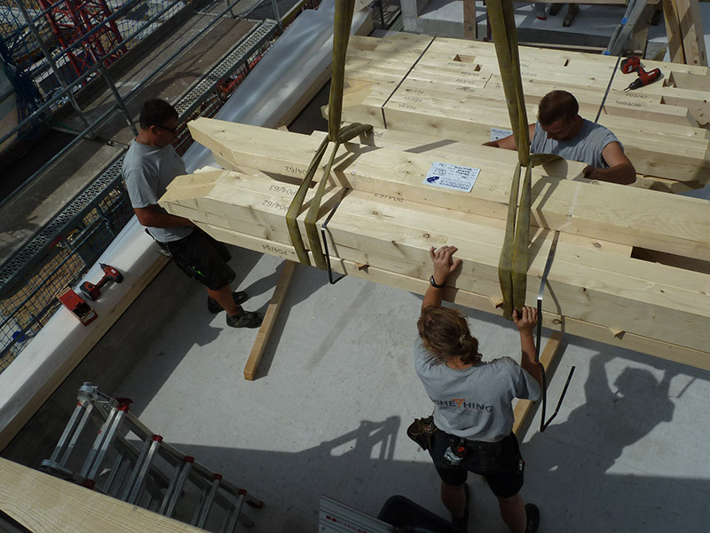 Mansardendach Neubau Mehrfamilienhaus, Höfingen